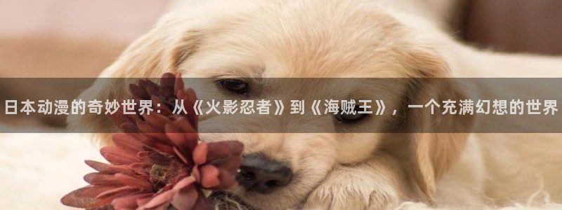 女神漫画韩漫免费阅读：日本动漫的奇妙世界：从《火影忍者》到《海贼王》，一个充满幻想的世界