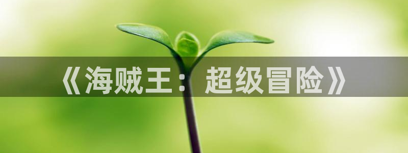 女神漫画韩漫下拉式免费观看：《海贼王：超级冒险》