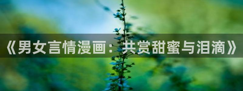 韩国女神漫画：《男女言情漫画：共赏甜蜜与泪滴》