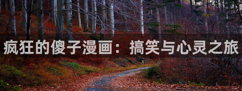 女神漫画视频在线观看：疯狂的傻子漫画：搞笑与心灵之旅